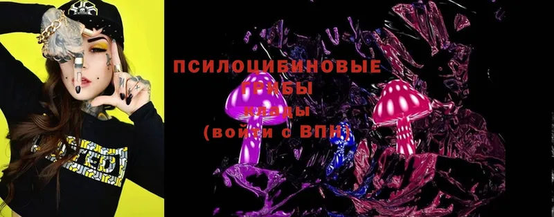 Галлюциногенные грибы Magic Shrooms  магазин  наркотиков  гидра вход  Злынка 