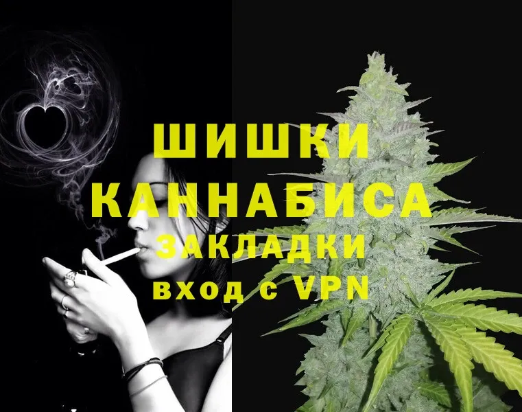 как найти наркотики  МЕГА как зайти  Бошки Шишки OG Kush  Злынка 